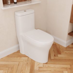 CONCORD One Piece Toilet, Dual Flush 1.1/1.6 GPF and MAP 600g, Standard White Toilet Bowl