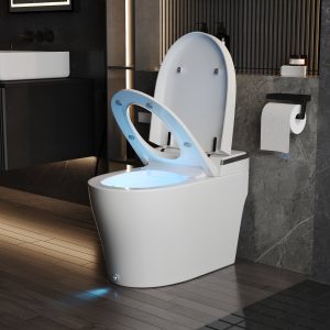 DeerValley DV-1S0029/V1/V3 Tankless Elongated Smart Toilet, One-Piece Elongated Smart Toilet with Foot Kick Flush (Seat Included)