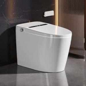 DeerValley DV-1S0159-V3 Smart Bidet Toilet with Micro-Bubble Wash, LED Display