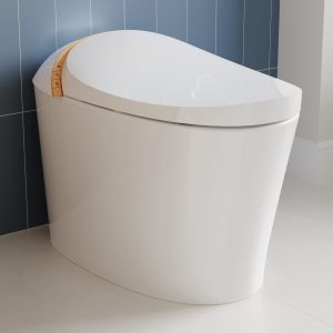 DeerValley DV-1S0160/V1/V3 Tankless Elongated Smart Toilet with Off-Seat Flush/Foot Sensor Flush, Automatic Tankless Toilet with Heated Seat, Warm Water Cleaning, Warm Air dryer