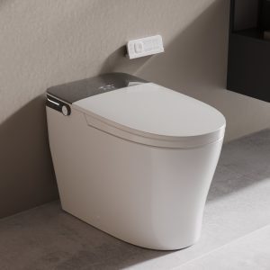 DeerValley DV-1S0371 ADA Smart Toilet with Foam Shield Hygiene, Everyday Comfort