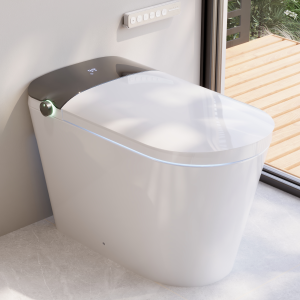 DeerValley DV-1S0442 Smart Toilet with Automatic Comfort Adjustment, Foam Shield Hygiene