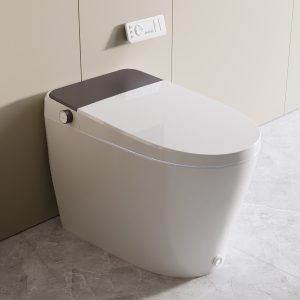 DeerValley DV-1S0459 Smart Toilet with Bidet, MaP 1000g Flush, ADA Height, Heated Seat & Warm Air Dryer, Auto Flush & Foot Sensor, Blackout Flush, Night Light, Modern Elongated Tankless Toilet
