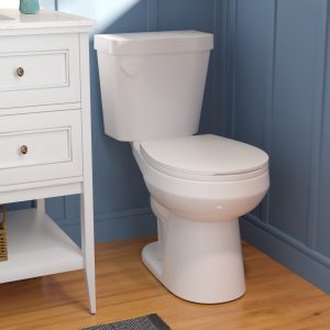 DeerValley DV-2F0077 Two-Piece Round Toilet, 12" Rough-in Single-Flush