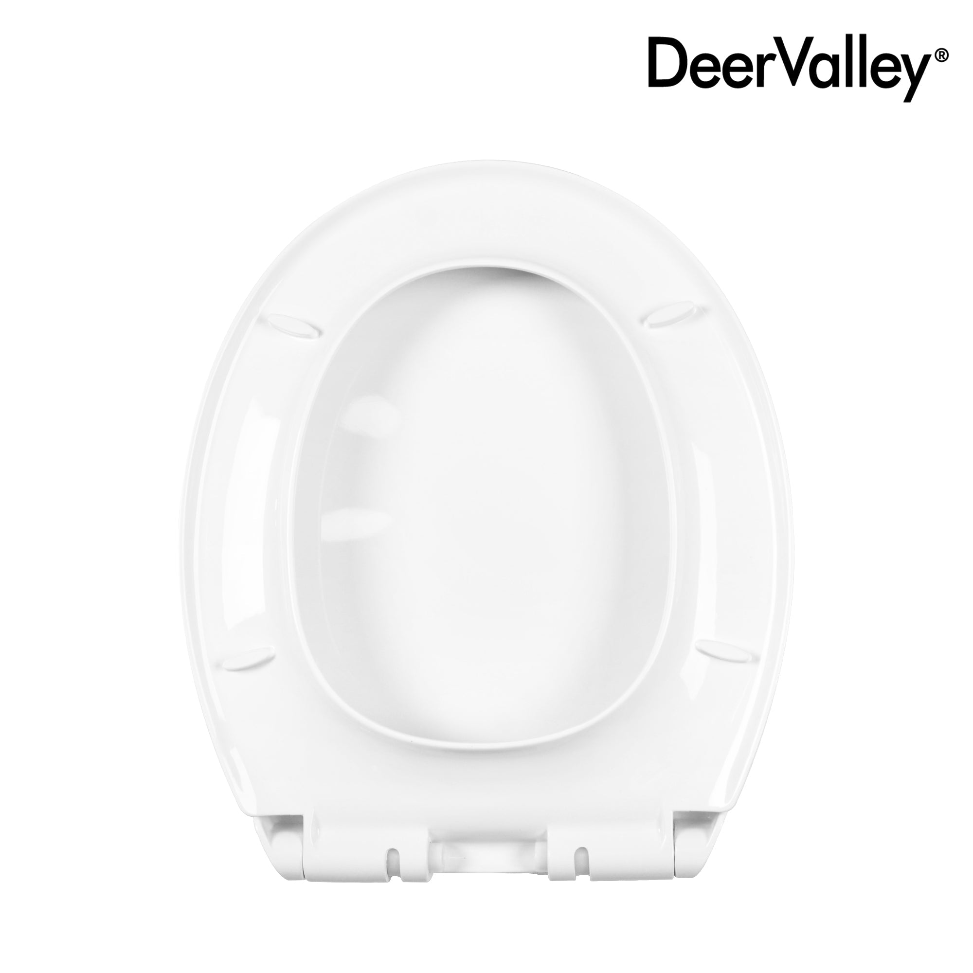 DV-2F007779_PP.jpg