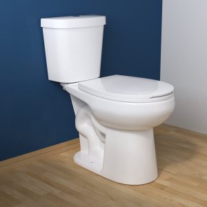 DeerValley DV-2F0079 Two-Piece Round Toilet, 12" Rough-in Dual-Flush