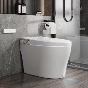 DeerValley DV-1S0029-V3 Smart Bidet Toilet with Purified Water Massage Wash & Modern Two-Tone Design