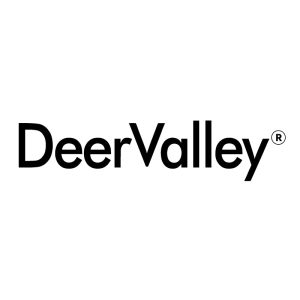 DeerValley DV-F0143S01 Toilet Seat Quick Release Bracket (Fit with DV-2F0143)